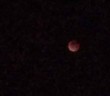 12077081_10153240501498253_862189411_n